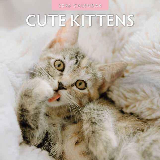 Cute Kittens 2026 Premium Square Wall Calendar