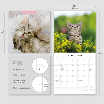 Cute Kittens 2026 Premium Square Wall Calendar