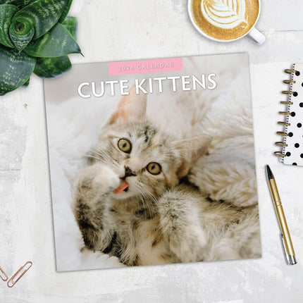 Cute Kittens 2026 Premium Square Wall Calendar