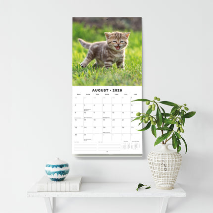 Cute Kittens 2026 Premium Square Wall Calendar