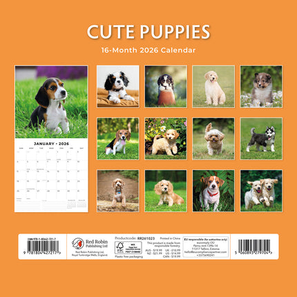 Cute Puppies 2026 Premium Square Wall Calendar