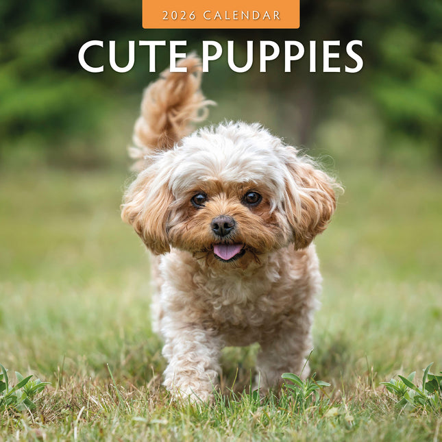 Cute Puppies 2026 Premium Square Wall Calendar