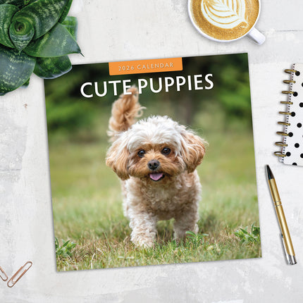 Cute Puppies 2026 Premium Square Wall Calendar