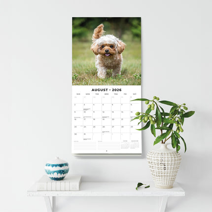 Cute Puppies 2026 Premium Square Wall Calendar