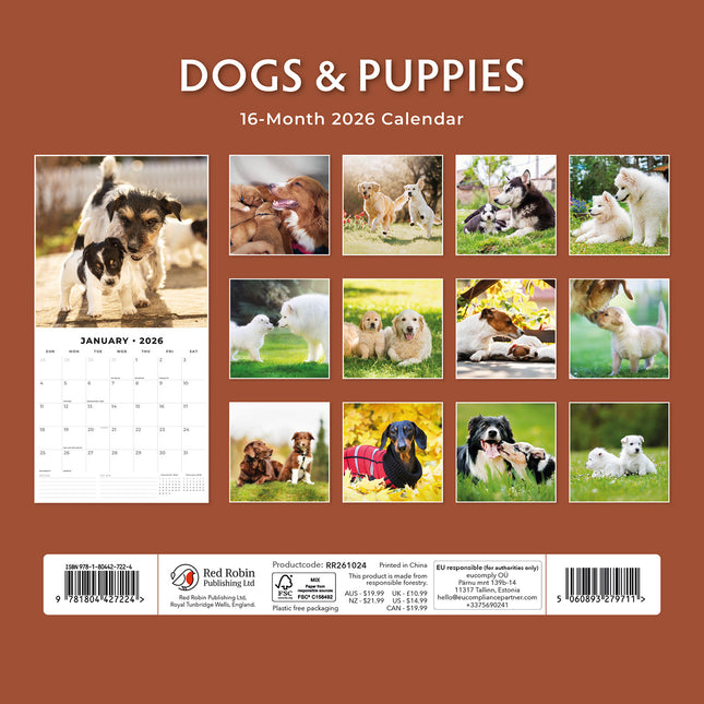 Dogs And Puppies 2026 Premium Square Wall Calendar