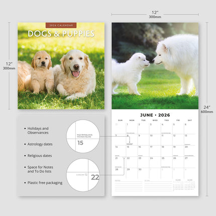 Dogs And Puppies 2026 Premium Square Wall Calendar