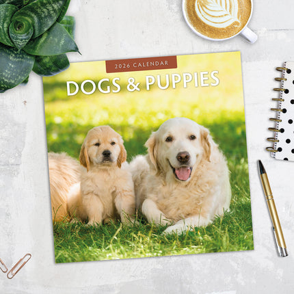 Dogs And Puppies 2026 Premium Square Wall Calendar