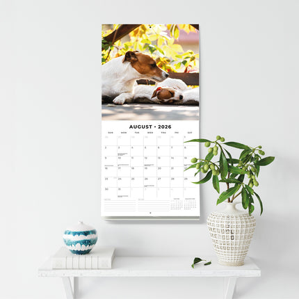 Dogs And Puppies 2026 Premium Square Wall Calendar