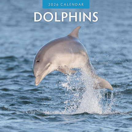 Dolphins 2026 Premium Square Wall Calendar