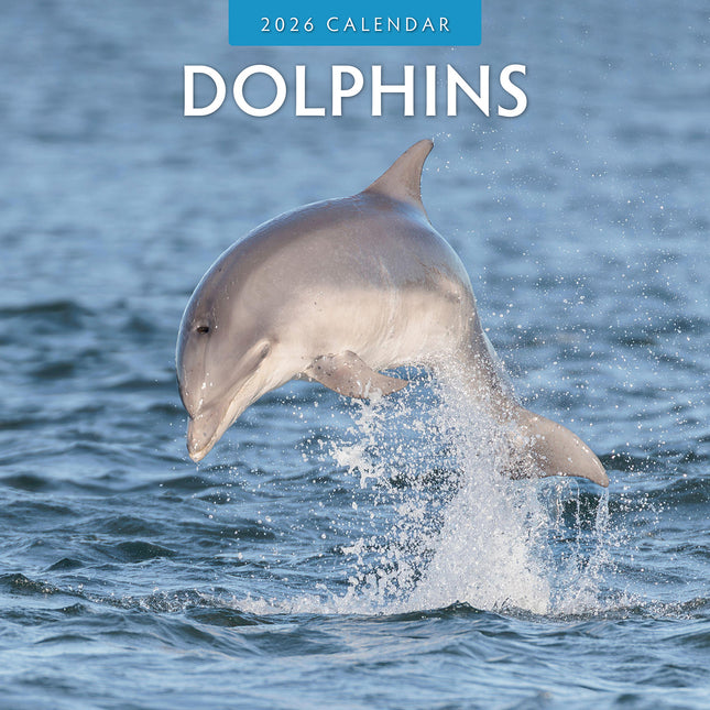 Dolphins 2026 Premium Square Wall Calendar