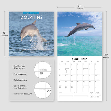 Dolphins 2026 Premium Square Wall Calendar