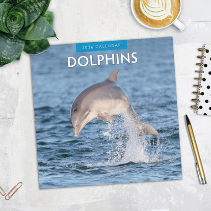 Dolphins 2026 Premium Square Wall Calendar