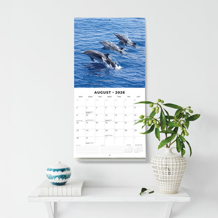 Dolphins 2026 Premium Square Wall Calendar