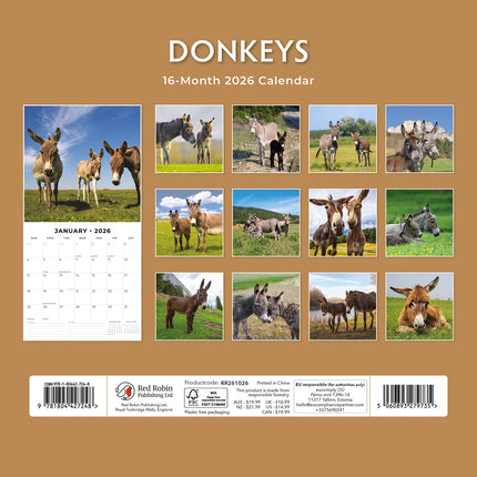 Donkeys 2026 Premium Square Wall Calendar