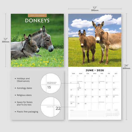 Donkeys 2026 Premium Square Wall Calendar