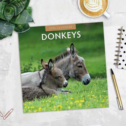 Donkeys 2026 Premium Square Wall Calendar