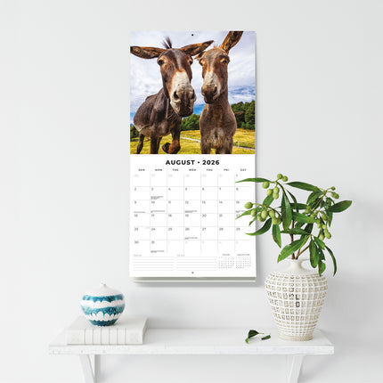 Donkeys 2026 Premium Square Wall Calendar