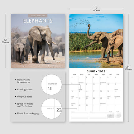 Elephants 2026 Premium Square Wall Calendar