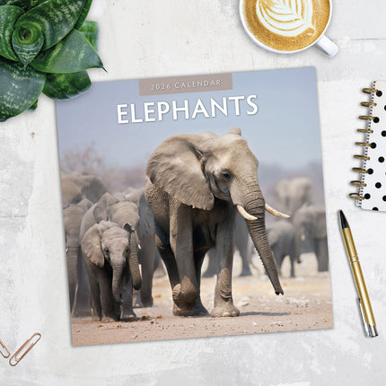Elephants 2026 Premium Square Wall Calendar