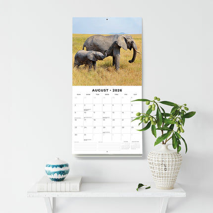 Elephants 2026 Premium Square Wall Calendar
