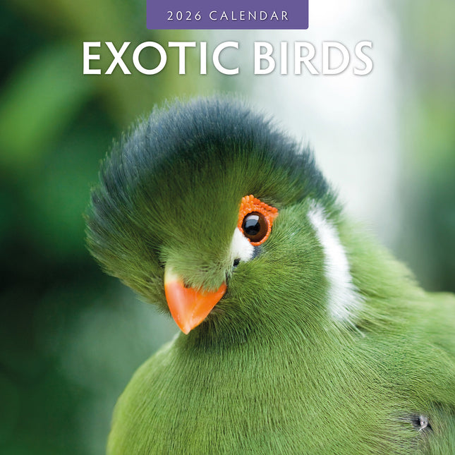 Exotic Birds 2026 Premium Square Wall Calendar