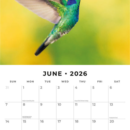 Exotic Birds 2026 Premium Square Wall Calendar