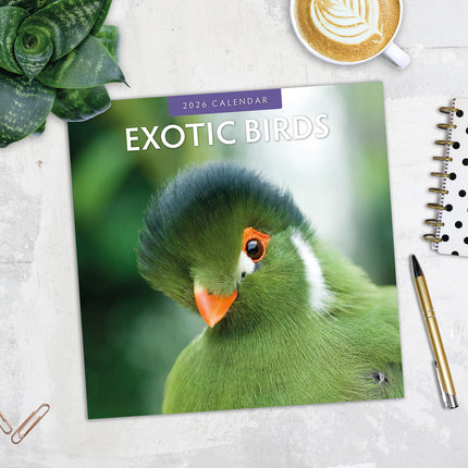 Exotic Birds 2026 Premium Square Wall Calendar