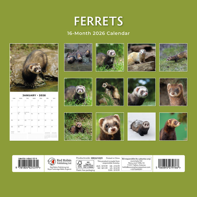 Ferrets 2026 Premium Square Wall Calendar