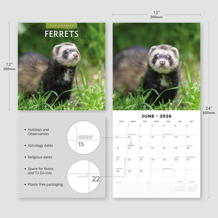 Ferrets 2026 Premium Square Wall Calendar