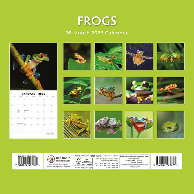 Frogs 2026 Premium Square Wall Calendar