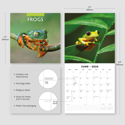 Frogs 2026 Premium Square Wall Calendar