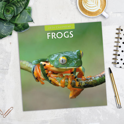 Frogs 2026 Premium Square Wall Calendar
