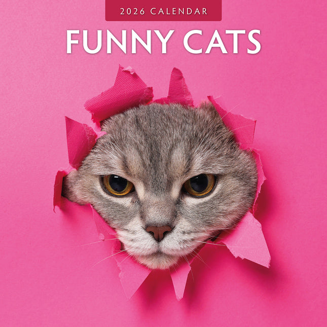 Funny Cats 2026 Premium Square Wall Calendar