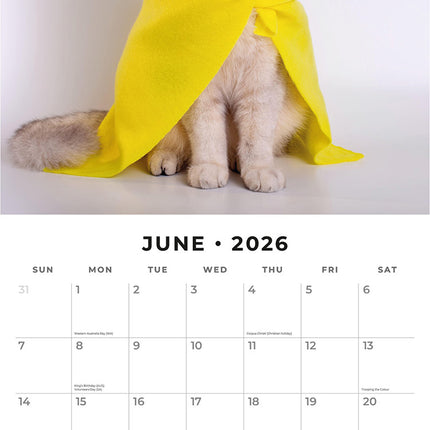 Funny Cats 2026 Premium Square Wall Calendar