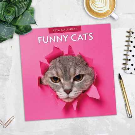 Funny Cats 2026 Premium Square Wall Calendar