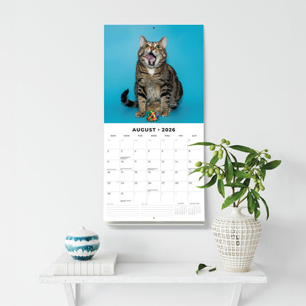Funny Cats 2026 Premium Square Wall Calendar