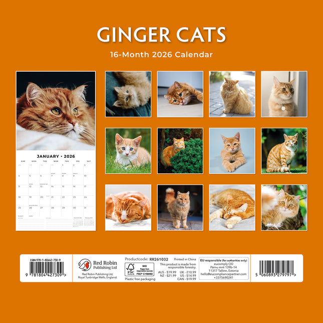 Ginger Cats 2026 Premium Square Wall Calendar