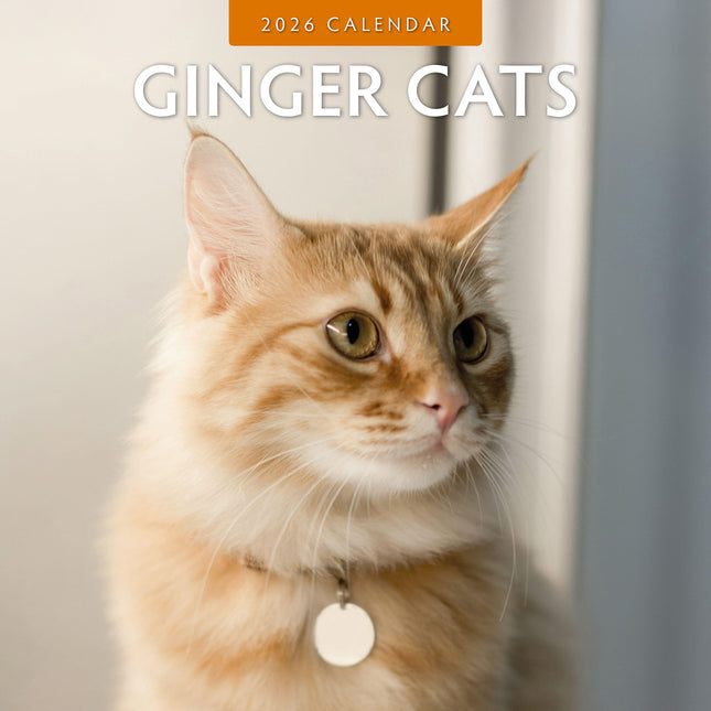 Ginger Cats 2026 Premium Square Wall Calendar