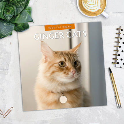 Ginger Cats 2026 Premium Square Wall Calendar