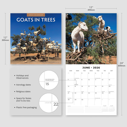 Goats In Trees 2026 Premium Square Wall Calendar