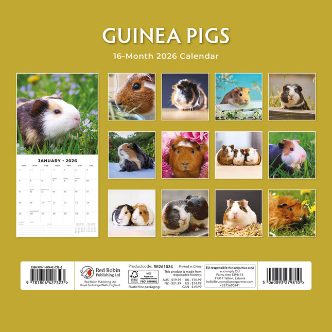 Guinea Pigs 2026 Premium Square Wall Calendar