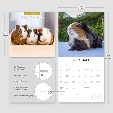 Guinea Pigs 2026 Premium Square Wall Calendar