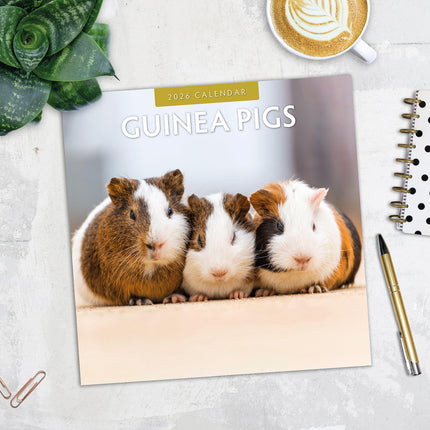 Guinea Pigs 2026 Premium Square Wall Calendar