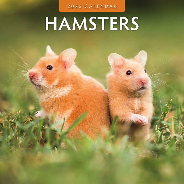 Hamsters 2026 Premium Square Wall Calendar