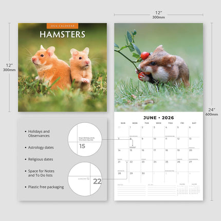 Hamsters 2026 Premium Square Wall Calendar