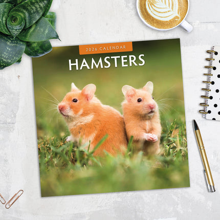 Hamsters 2026 Premium Square Wall Calendar