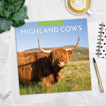 Highland Cows 2026 Premium Square Wall Calendar