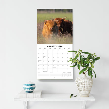 Highland Cows 2026 Premium Square Wall Calendar