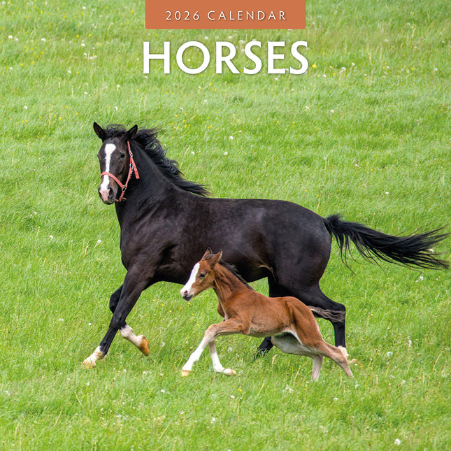 Horses 2026 Premium Square Wall Calendar