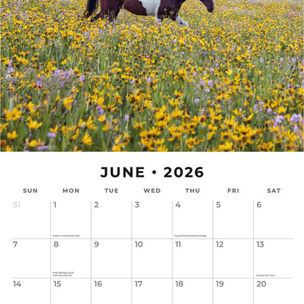 Horses 2026 Premium Square Wall Calendar